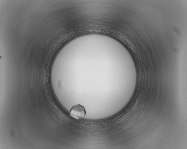 X0000113740593200909230947