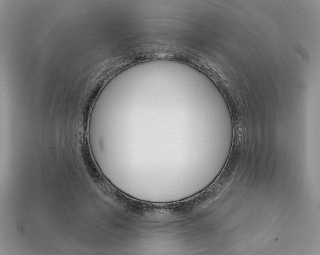 X0000113740594200909230947