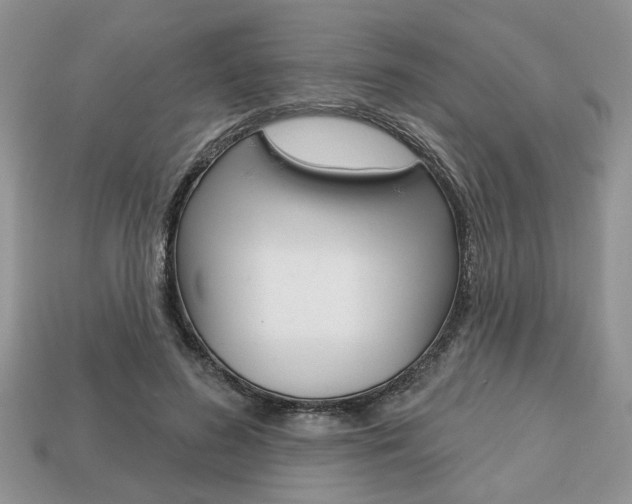 X0000113740596200909230947