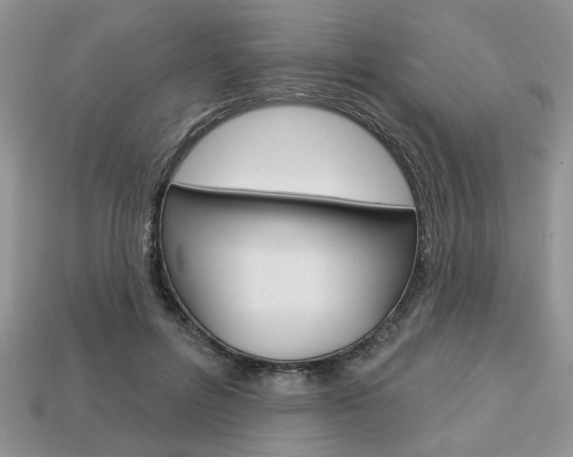 X0000113740600200909230947