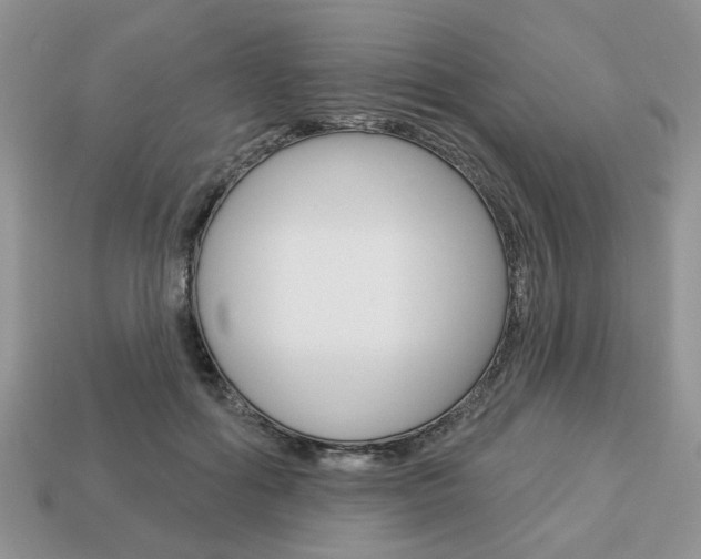 X0000113740602200909230947