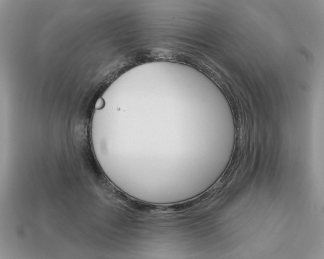 X0000113740603200909230947