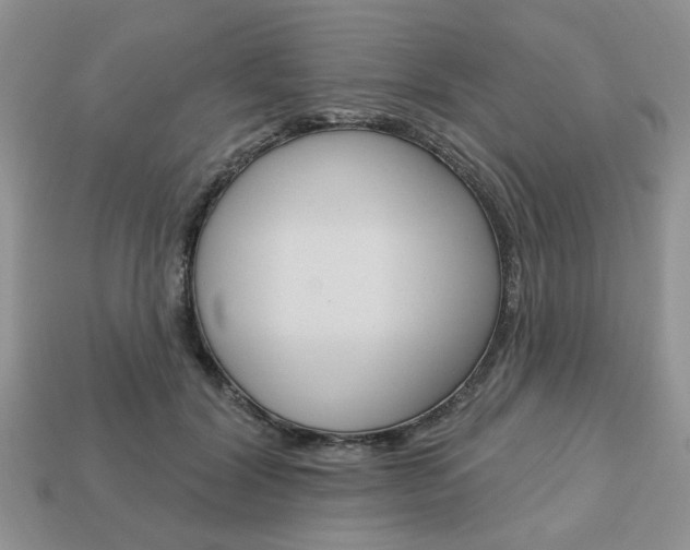 X0000113740604200909230947