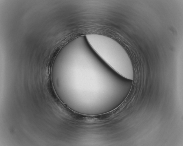 X0000113740605200909230947