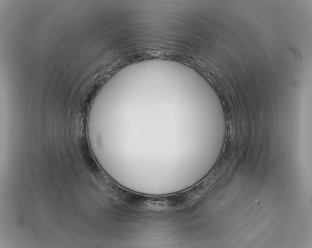 X0000113740606200909230947