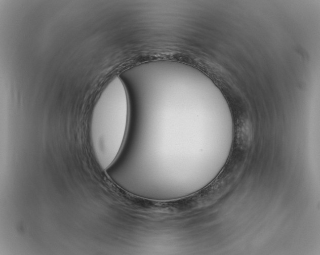 X0000113740608200909230947