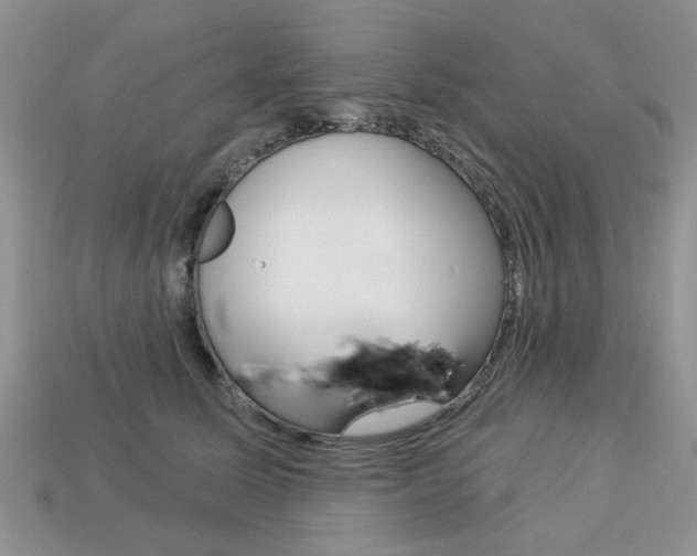 X0000113740611200909230947