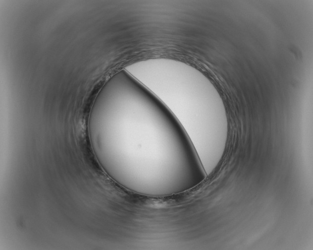 X0000113740613200909230947