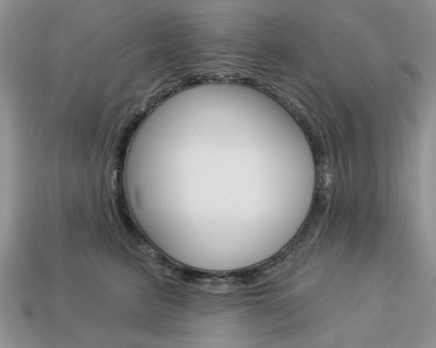 X0000113740615200909230947