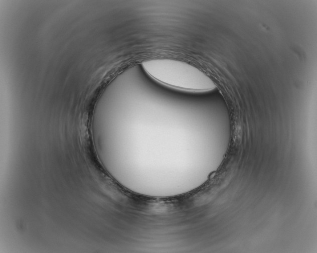 X0000113740616200909230947