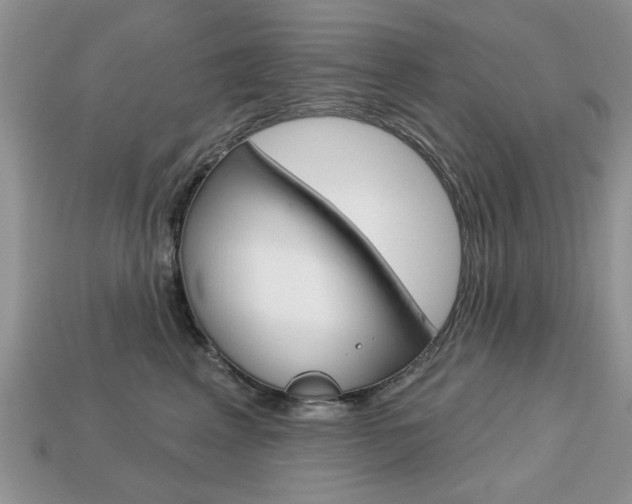 X0000113740617200909230947