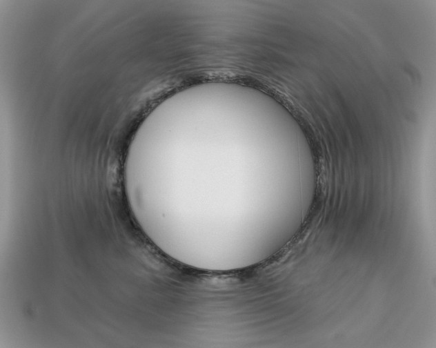 X0000113740619200909230947