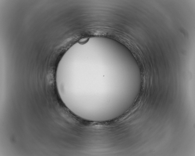 X0000113740620200909230947