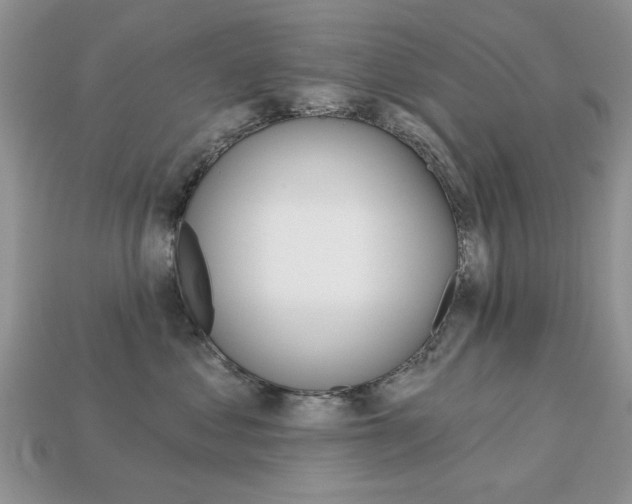 X0000113740621200909230947