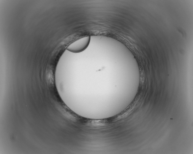 X0000113740622200909230947
