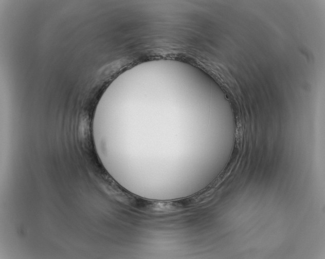 X0000113740623200909230947