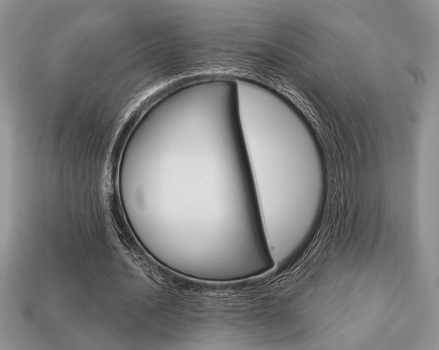 X0000113740628200909230946