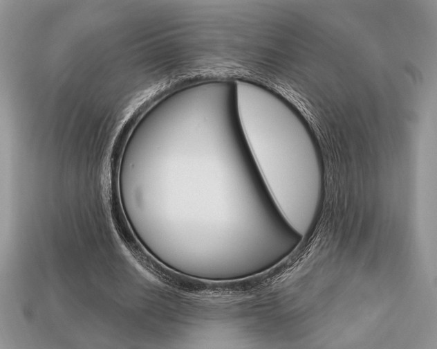 X0000113740630200909230946
