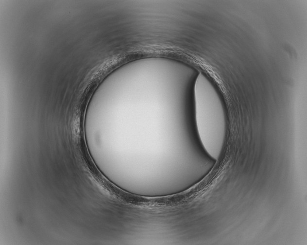 X0000113740633200909230946