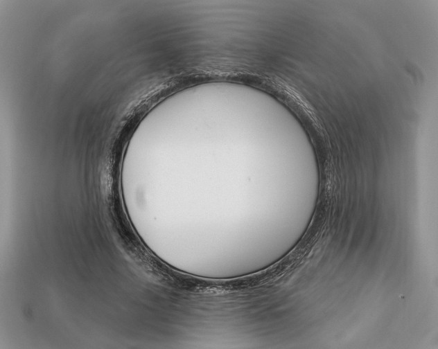 X0000113740635200909230946