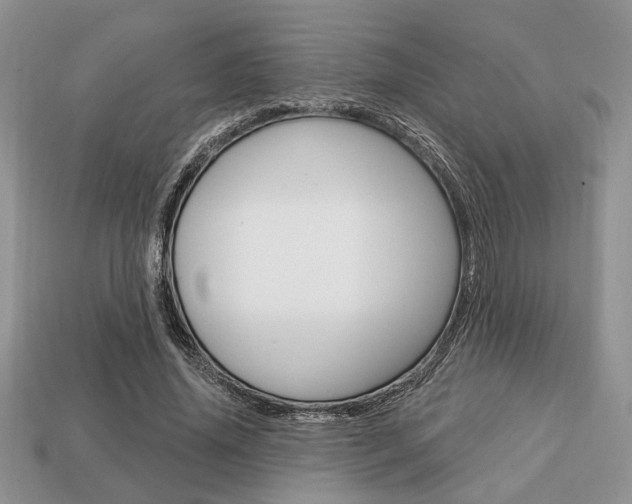 X0000113740636200909230946