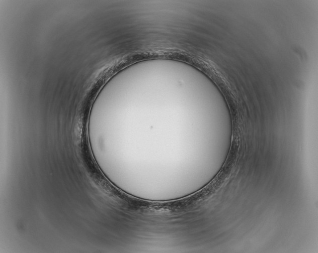 X0000113740640200909230946