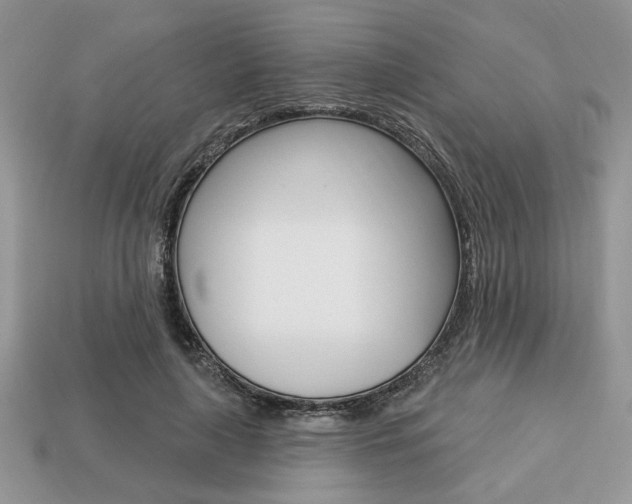 X0000113740643200909230946