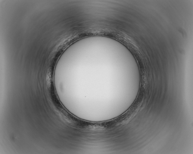 X0000113740644200909230946