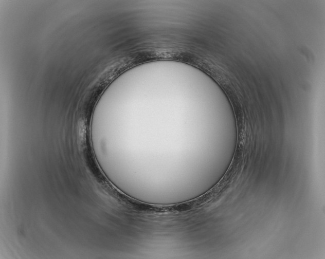 X0000113740646200909230946