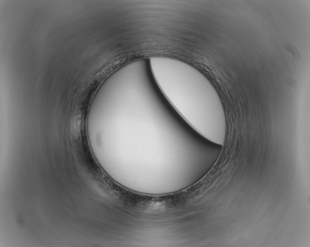 X0000113740647200909230946