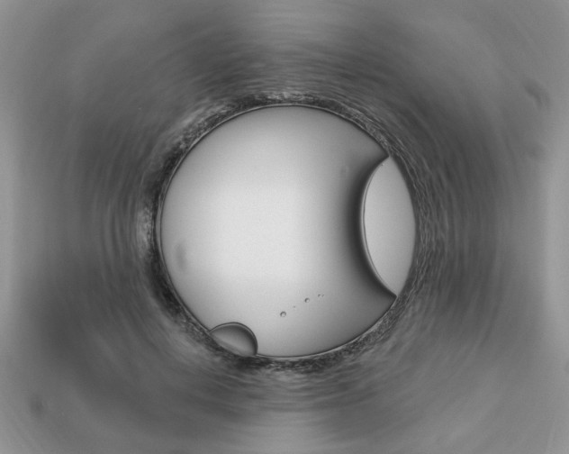 X0000113740648200909230946