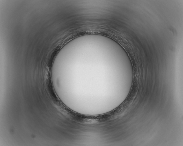 X0000113740649200909230946