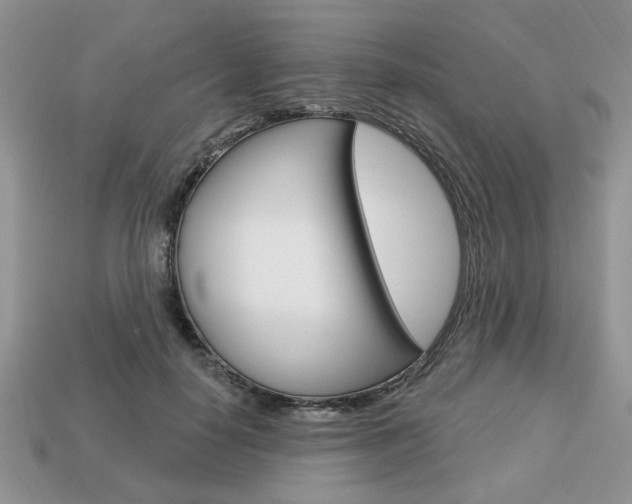 X0000113740650200909230946