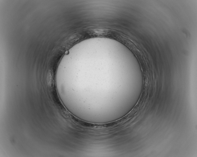 X0000113740651200909230946