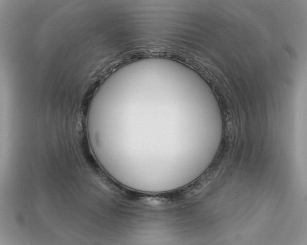 X0000113740654200909230946