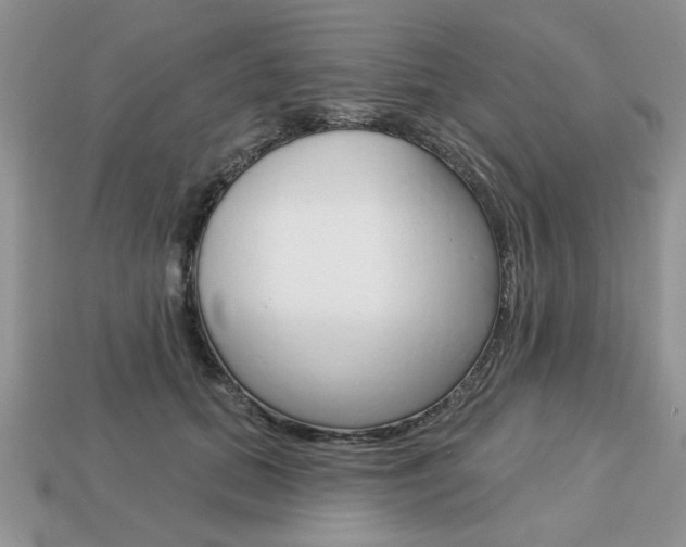X0000113740655200909230946