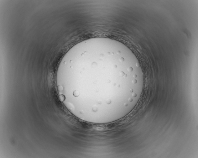 X0000113740659200909230947