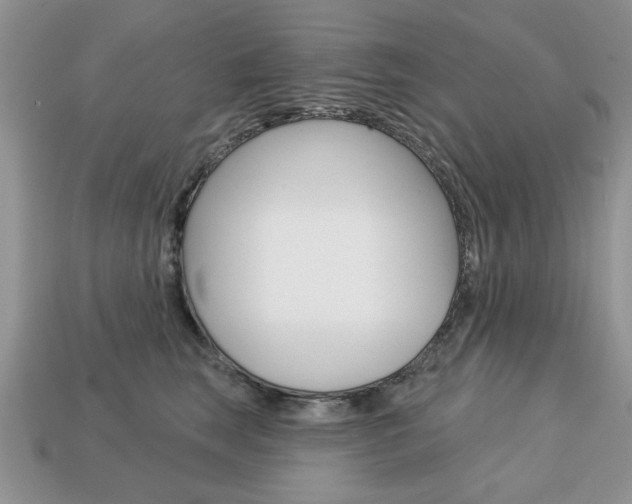 X0000113740663200909230947