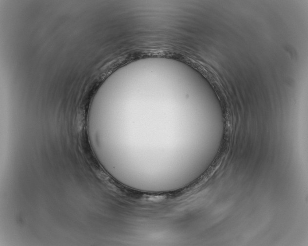 X0000113740665200909230947