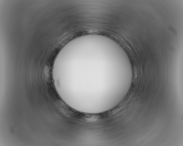 X0000113740667200909230947