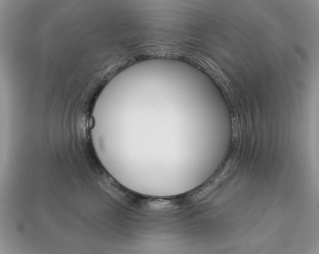 X0000113740669200909230947