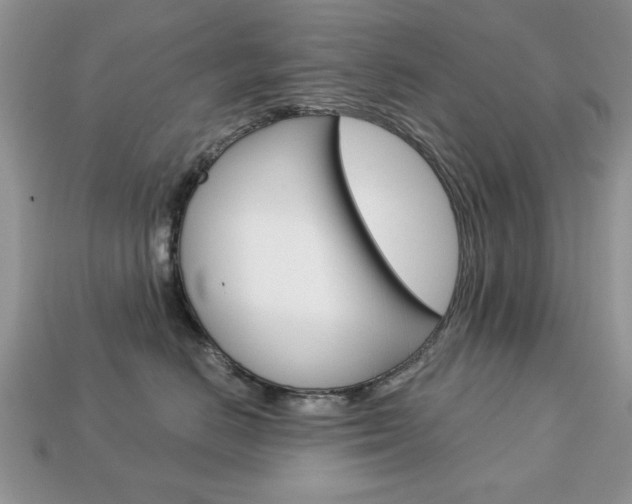X0000113740670200909230947