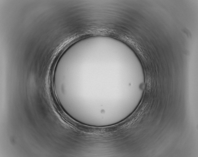 X0000113740674200909230946