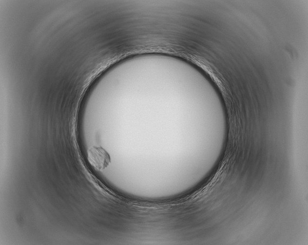 X0000113740677200909230946
