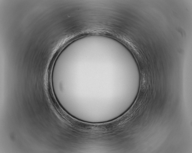 X0000113740678200909230946