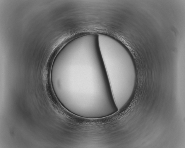 X0000113740679200909230946