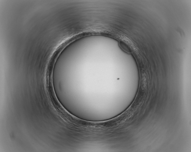 X0000113740680200909230946