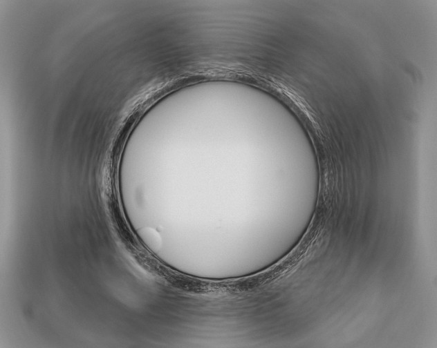 X0000113740682200909230946