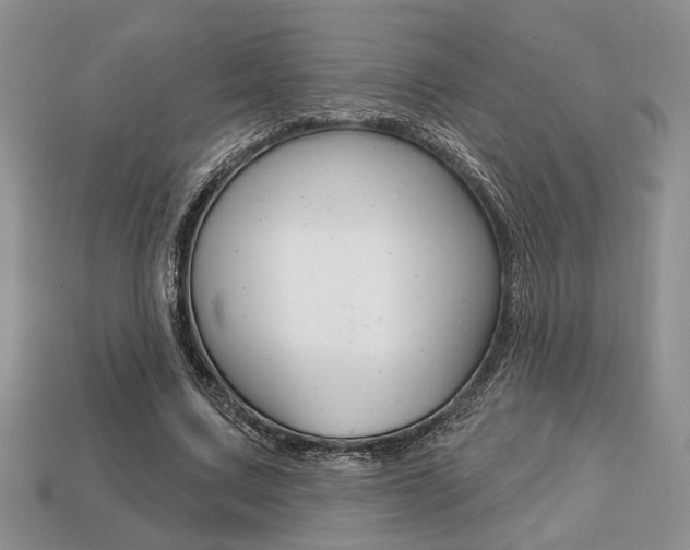 X0000113740683200909230946
