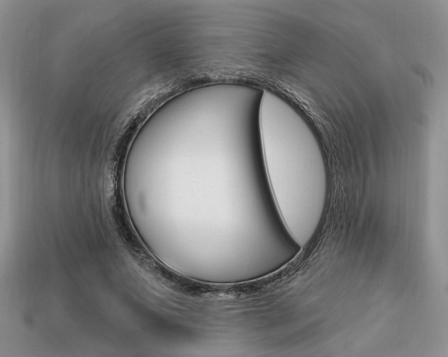 X0000113740687200909230946
